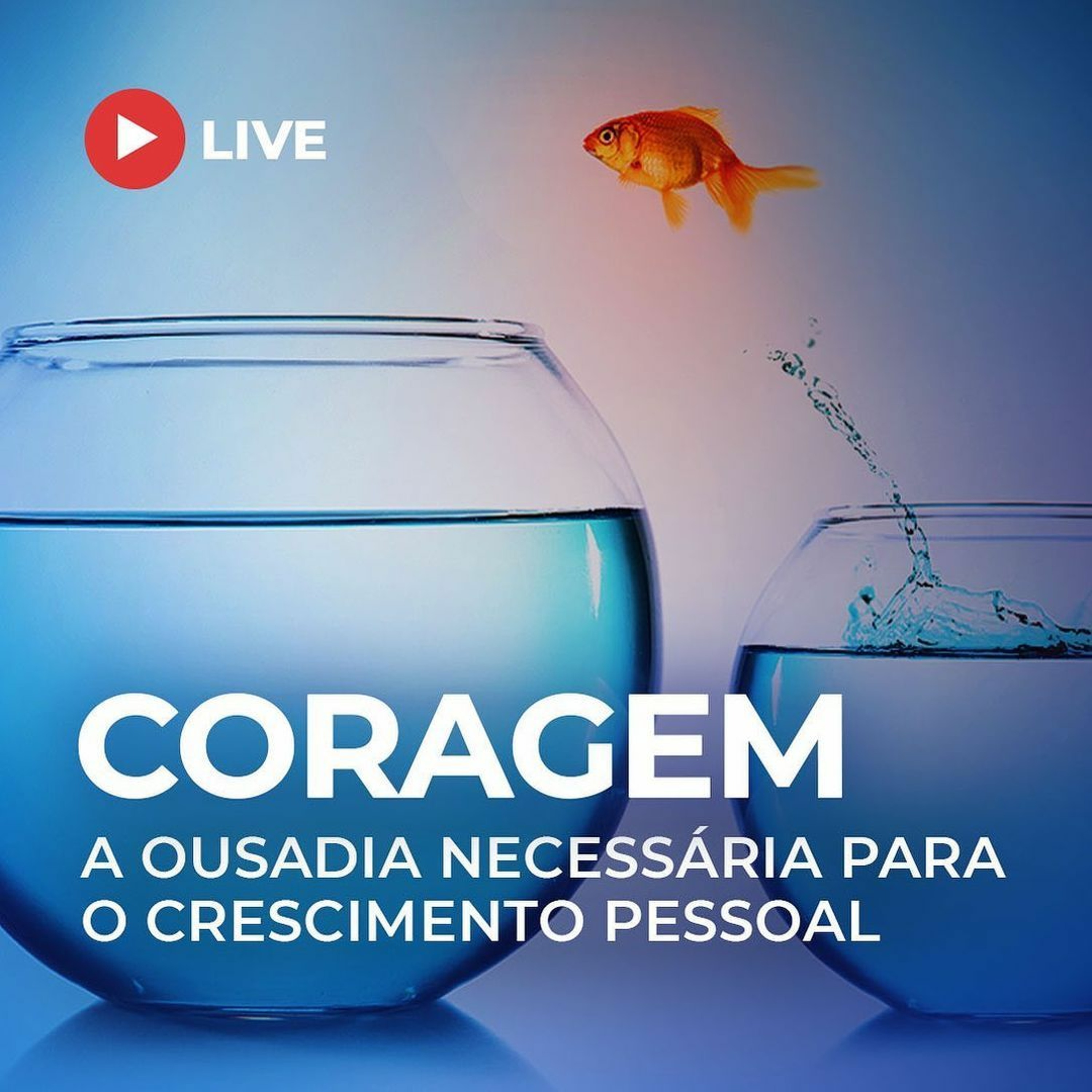Escola De Magia