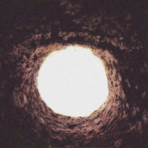 bottomless pit (I want to be in)