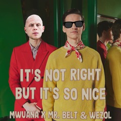 It's Not Right But It's So Nice - Mwuana X Mr. Belt & Wezol (Mashup) *STARTS @0:37*