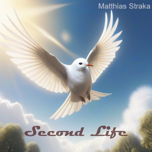 Second Life