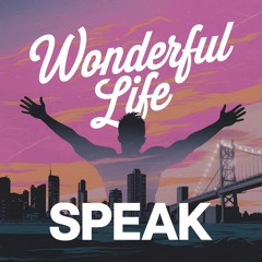 Speak - Wonderful Life (Extended Mix)