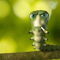 alaska demo w/ nismo, honda, kxtsuya