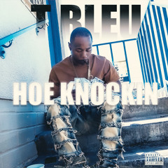 T BLEU - HOE KNOCKIN (PROD BY SKANLESS BEATZ X SOUTHCENTRALJAY)