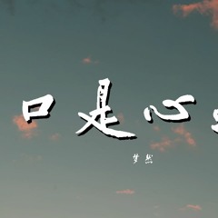 梦然 - 口是心非 【動態歌詞/Lyrics Video】