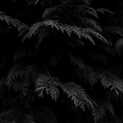 Rhyme Practice on Logic  - Self Medication