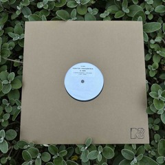 CURB STOMP / RAMBLER [NTV008]