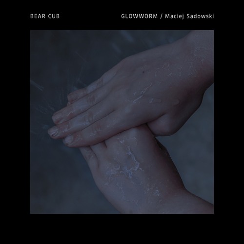 Bear Cub (feat. Maciej Sadowski)