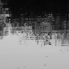 PREMIERE⚡️AudioCompress - Hide  [FREE SEQUENCE]