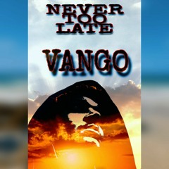 Never too late bootleg - V•DNB