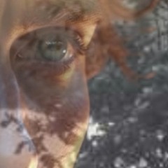 Silent Whisper Christmas.