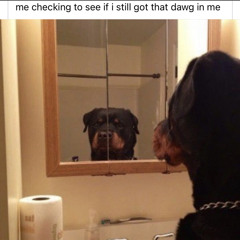 MATTHARDY - 6moon (Messymarv)