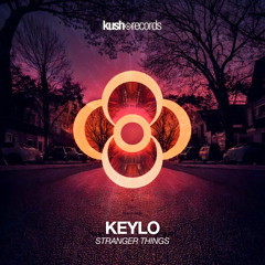 Keylo - Stranger Things