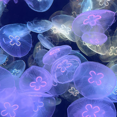 Baarish By Neha Kakkar