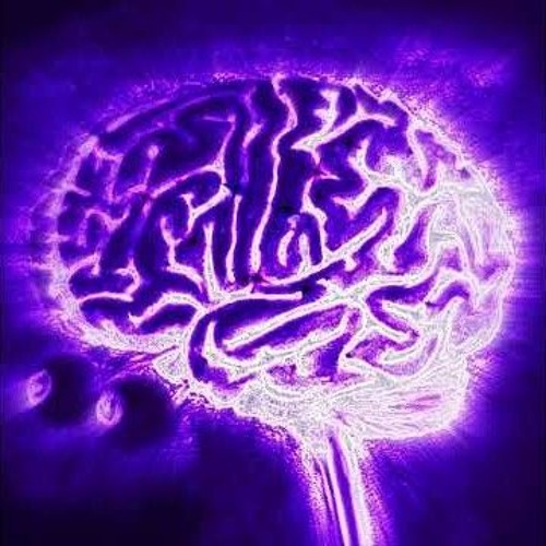 d3r - what my brain sounds like [2022]