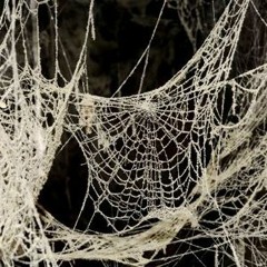 Spiderwebs - No Doubt - Dance Remix