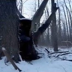 šèƙľąņėšÿşẓ̌