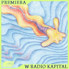 Edyta Jarząb - Domestic Flights (exerpt) (Pointless Geometry)