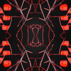 ghost in the dark w/ Alexander Flexman