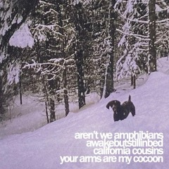 california cousins - i cannot be alone