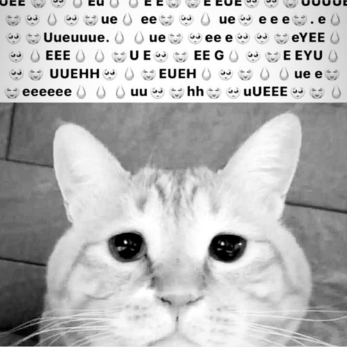 prod me mothafuk