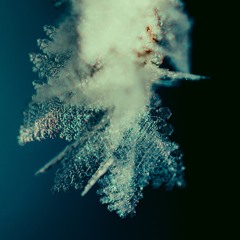 • Clearlight • Reminiscence | introspectiva