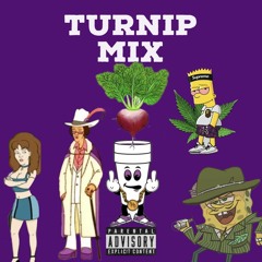 Turnip Mix