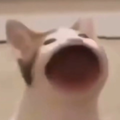 Baby Küss Mich (Barrett Remix)