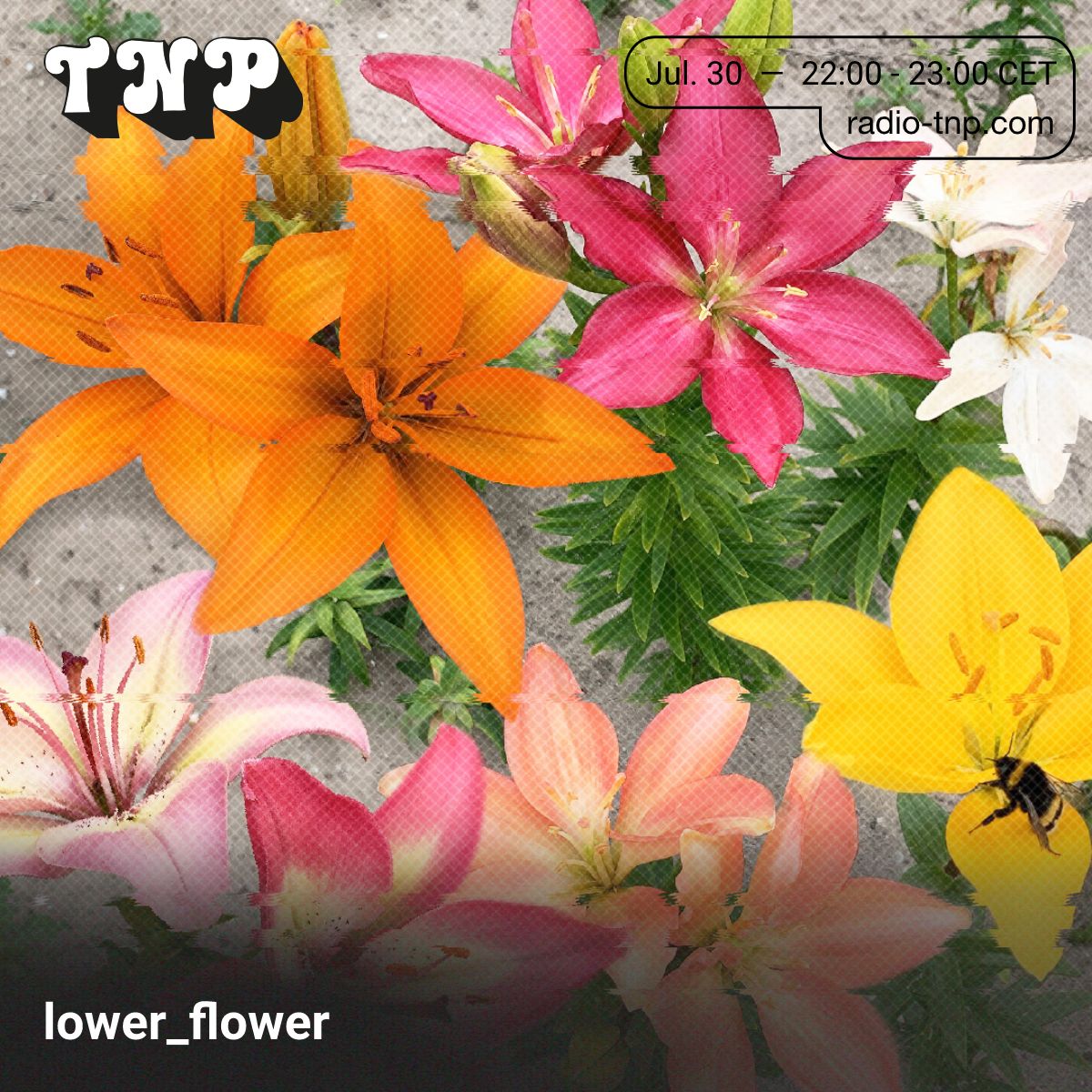 lower_flower