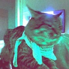 [FREE] Yeat ft. Playboi Carti, OsamaSon- MY ACID (prod.by @blesssosexy, @zestymain)