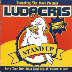 Ludacris & Shawnna - Stand Up  (Amare Remix) FREE DOWNLOAD