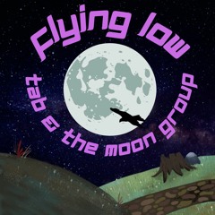 Flying Low (Single)