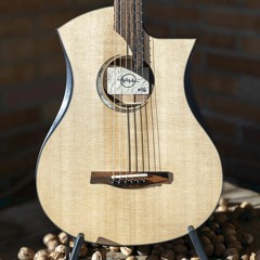 Salz Guitars #16 - PS 2023 - Sitka spruce & European walnut