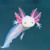Artwork for Axolotl Dance (with Advance Parts) for Beginning Band by Michael Maschmeier
