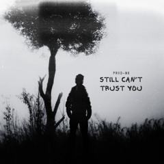 STILL CANT TRUST YOU