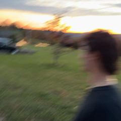 THE EMOTION (by BORNS) [cmulsh remix]