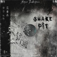 NINJA TECHNIQUES - SNAKE PIT