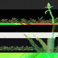 Botanicals Mix