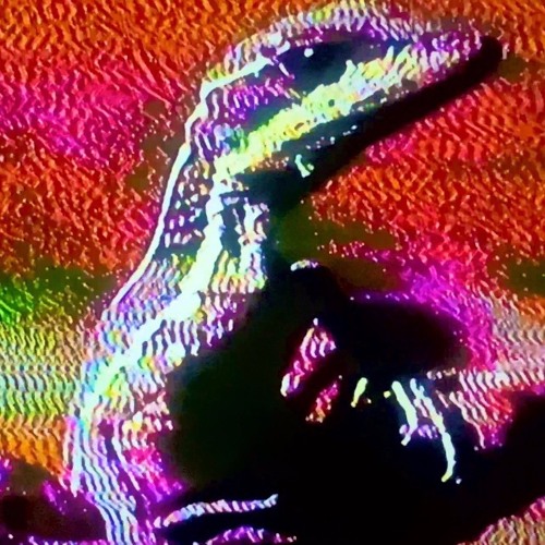 LIZARD SONG