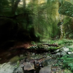 Distant Age