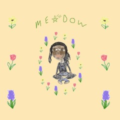 MEADOW prod. sizeqsx