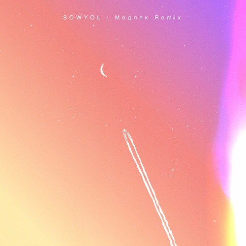 Mr.Credo - МЕДЛЯК (SOWYOL PHONK)