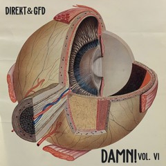 GFD & Direkt - Damn! Vol VI