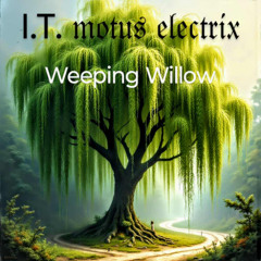 I.T. MOTUS ELECTRIX - Weeping Willow