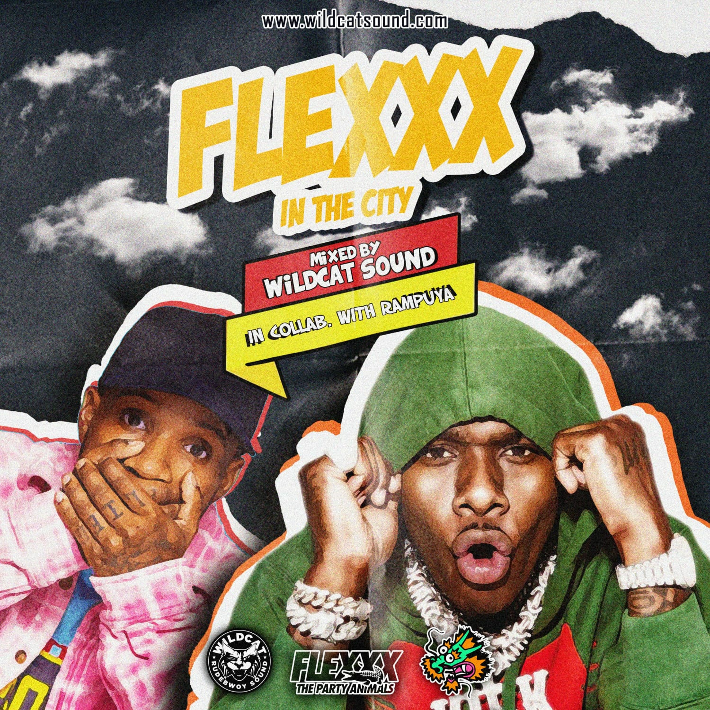 FLEXXX IN THE CITY [WILDCAT SOUND HIP HOP MIXTAPE 2020] episode artwork