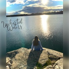 Uncharted Waters Master