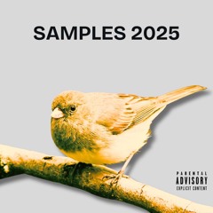 SAMPLES 2025