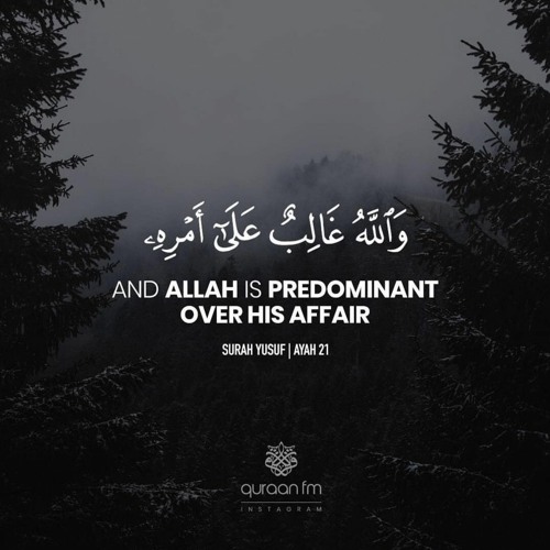 سورة يونس بصوت القارئ عبدالله الموسى