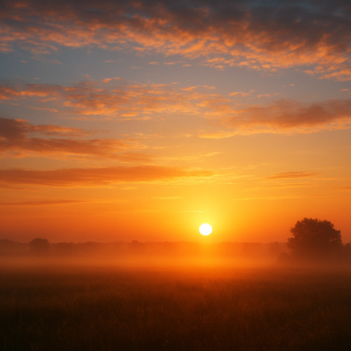 Woke up V.045 (Pre-Vocal-Version maxL)