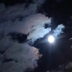 FRESH NIGHTS