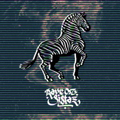 Raving Zebra @ Christmas tek [26.12.2022]